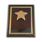 P3988 8x10 - Black W/ Gold Star and Gold Trim