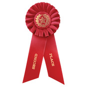 RIB72 - Red 2nd Place Rosette Ribbon